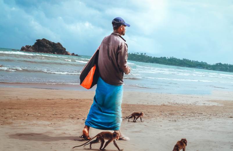 Quand partir à Zanzibar, Tanzanie, à moindre coût ?