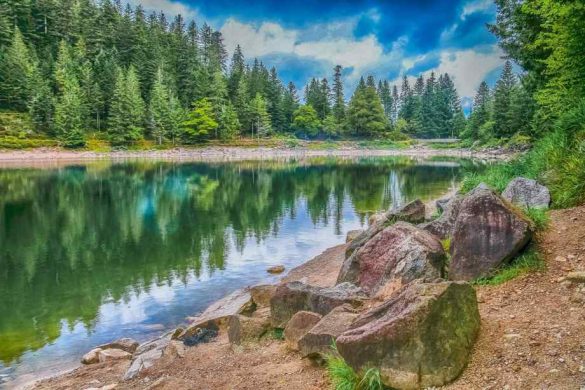 Que faire dans les Vosges : activités et découvertes à faire
