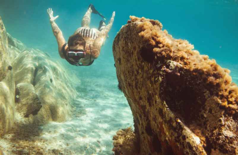 Découvrir les Calanques par la mer Gites.org