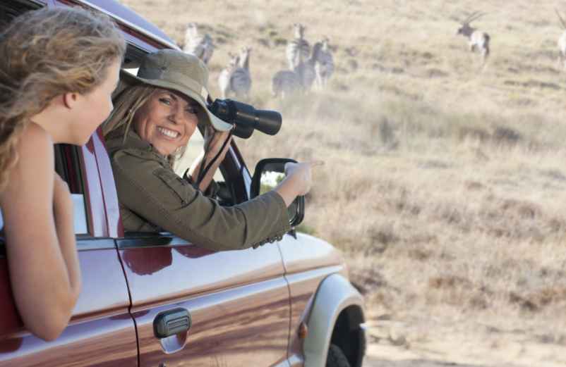 Faut-il envisager un safari durant la saison humide ?-Gites.org