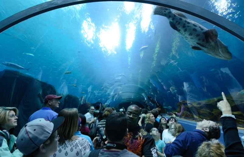 Visiter l'Aquarium de Paris-Gites.org Visiter l'Aquarium de Paris-Gites.org